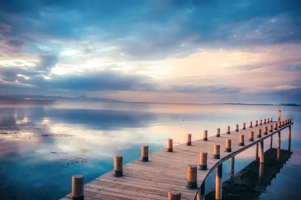 枫林的含义是什么